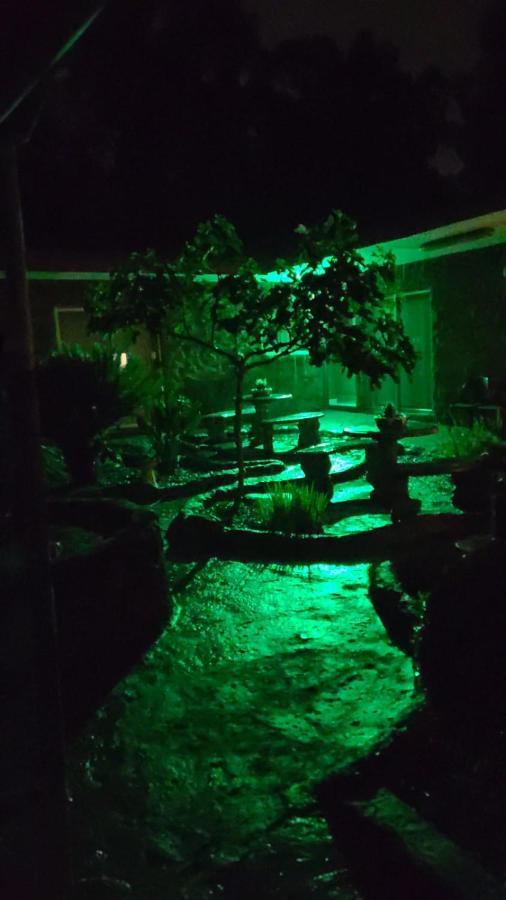 Rock Art Guesthouse 威特班克 外观 照片