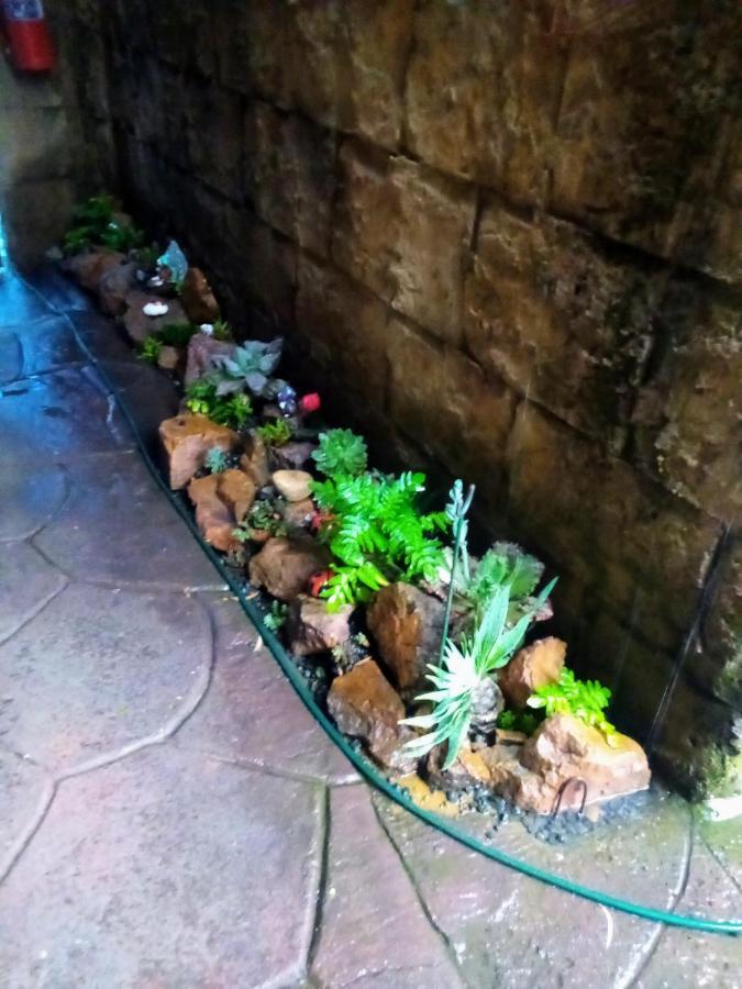 Rock Art Guesthouse 威特班克 外观 照片